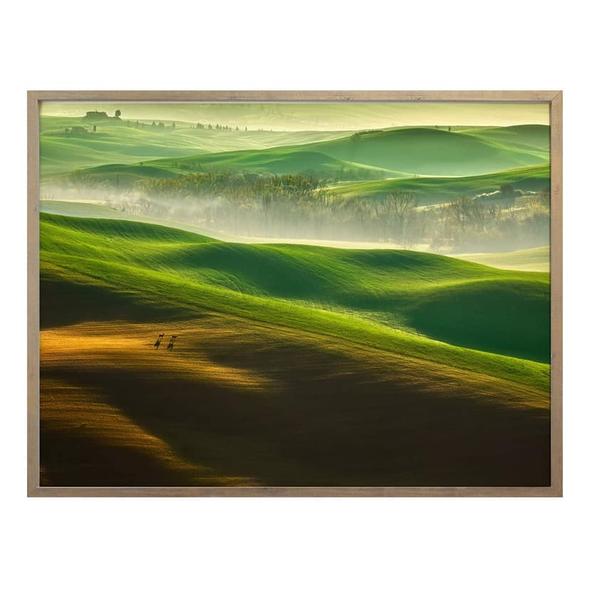 Plakat Browko - Zielone łąki