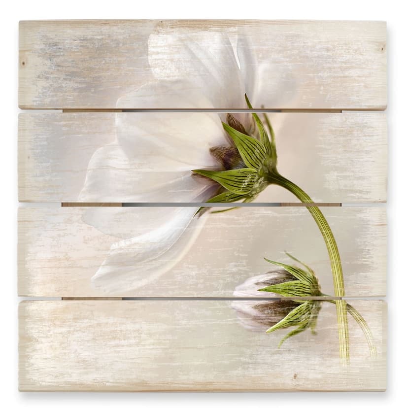 Obraz drewniany Disher - Cosmos - 40x41,5 cm