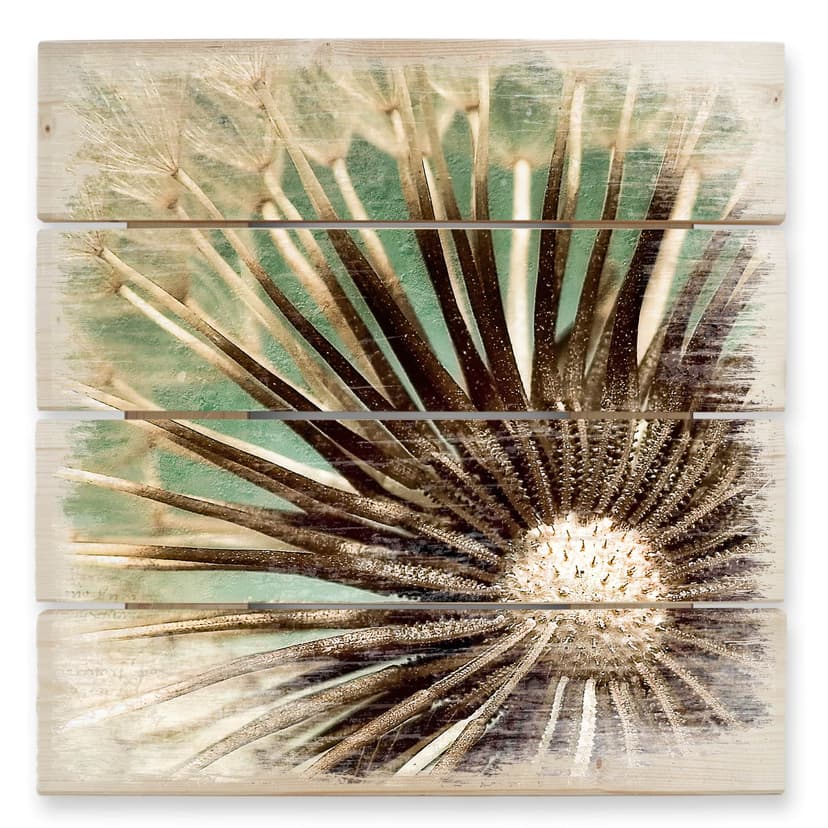 Obraz drewniany Dandelion Poetry - 40x41,5 cm