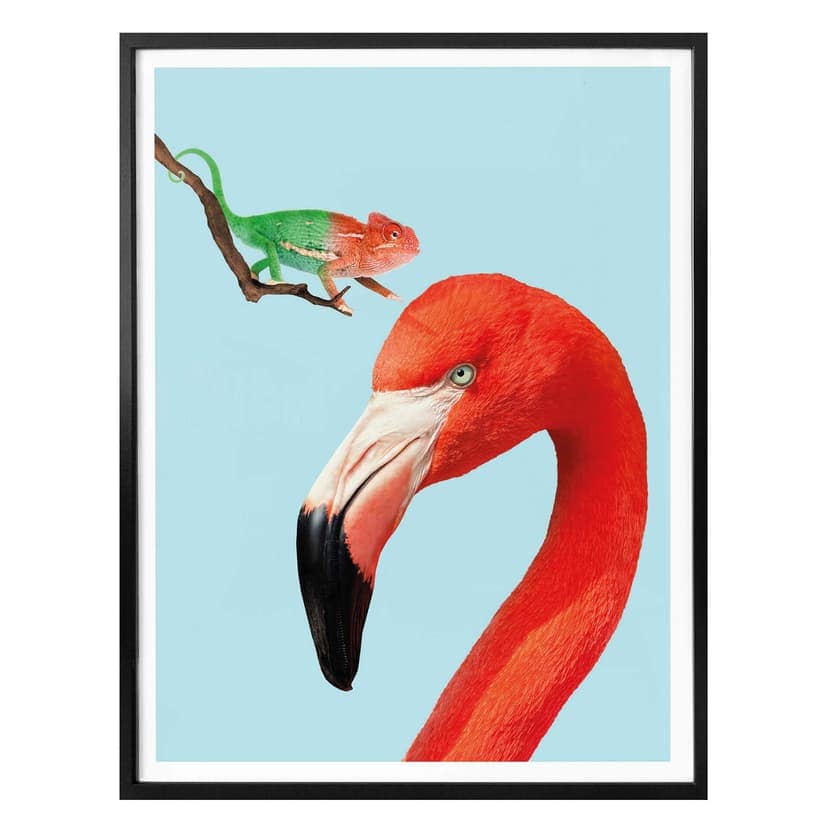 Plakat Loose - Kolorowi przyjaciele