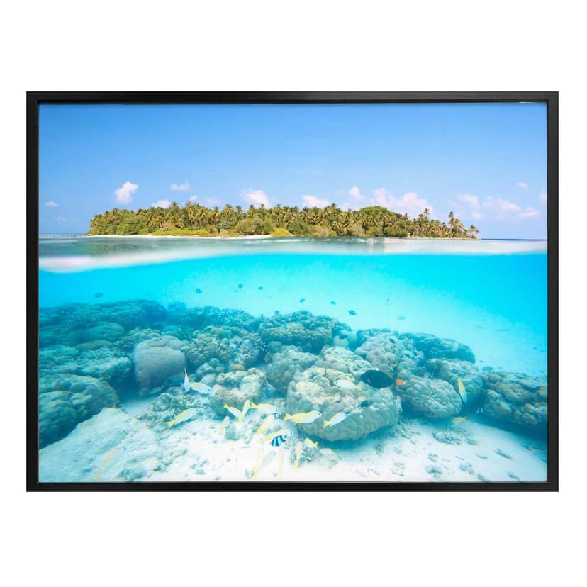 Plakat Colombo - Podwodny świat Malediwów