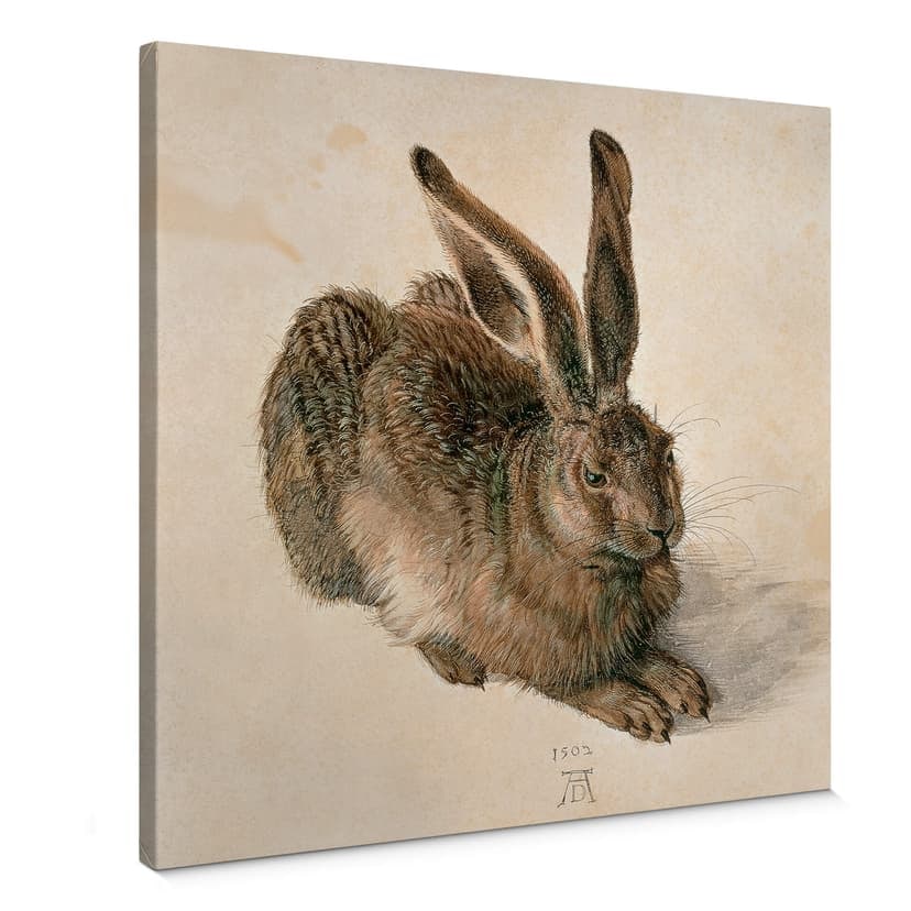 Obraz na płótnie Dürer - Młody zając