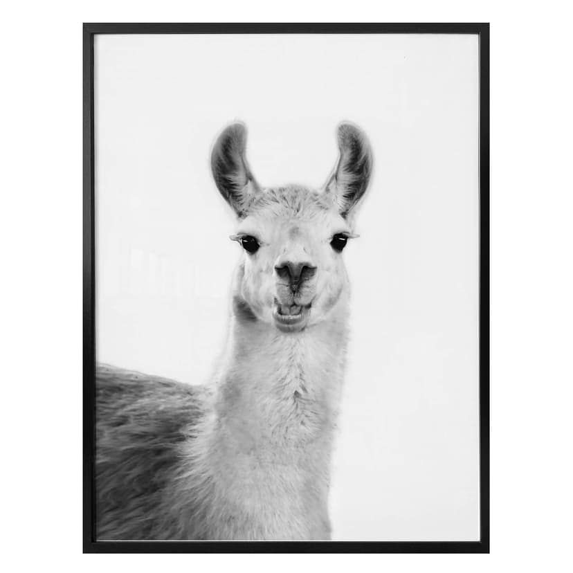 Plakat Sisi & Seb - Happy Lama