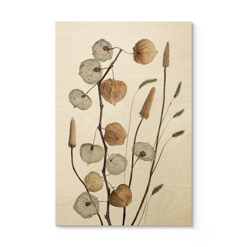 Suszone kwiaty lampionu Plakat drewniany - Disher