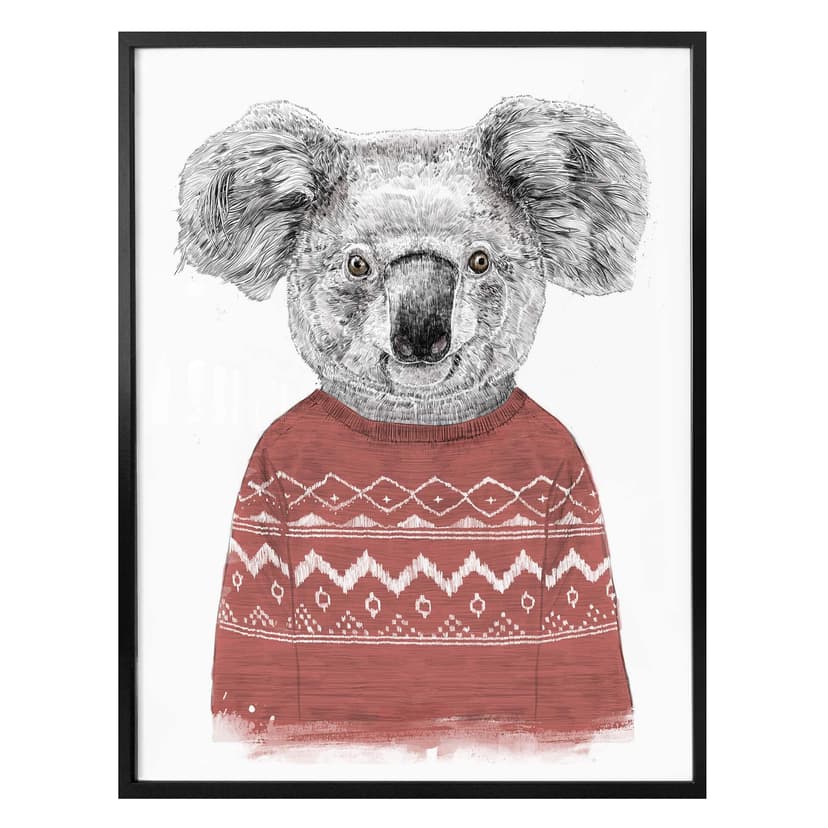 Plakat Solti - Koala zimą