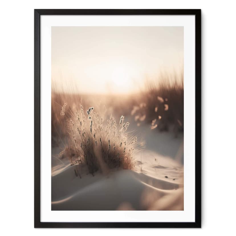 Plakat Treechild - Zachód słońca nad wydmami