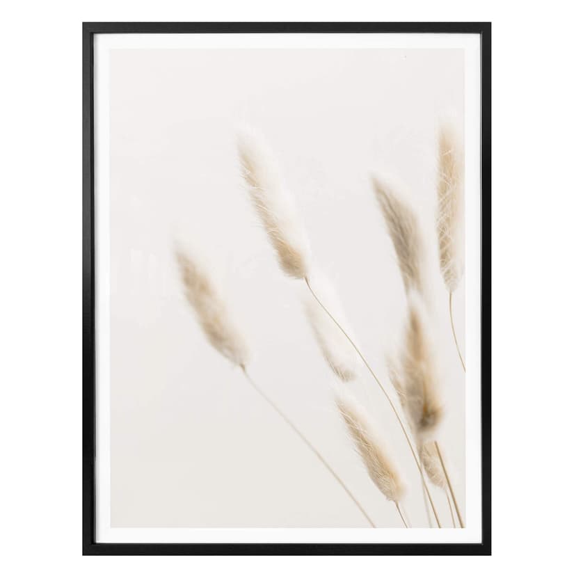 Plakat 1X Studio - Delikatne trawy