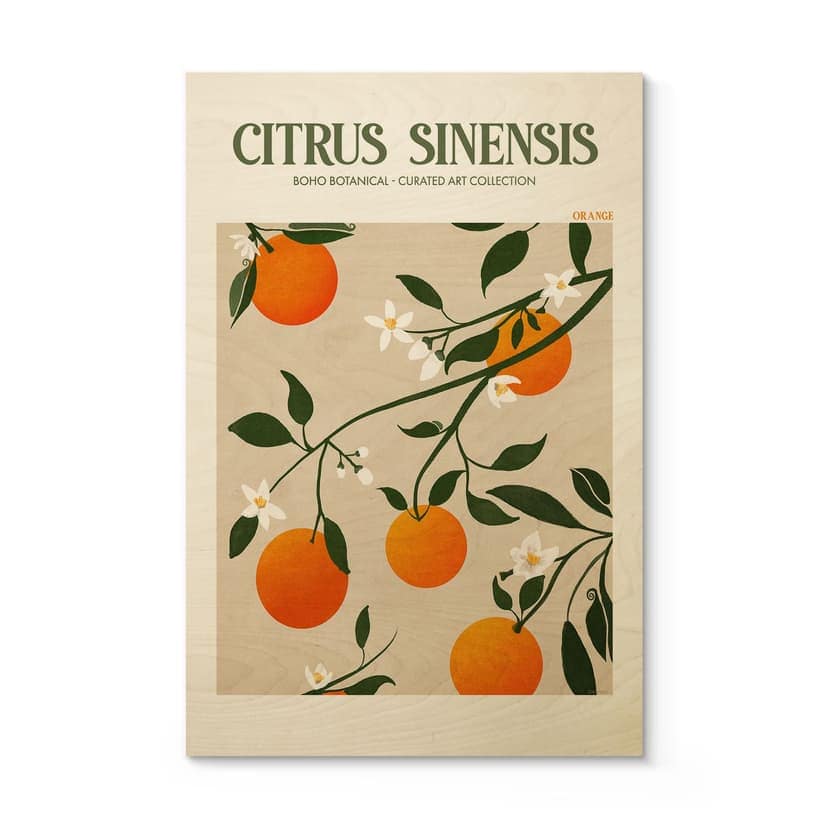 Plakat drewniany Boho drzewko pomarańczowe - Citrus Sinensis - Tunaboylu
