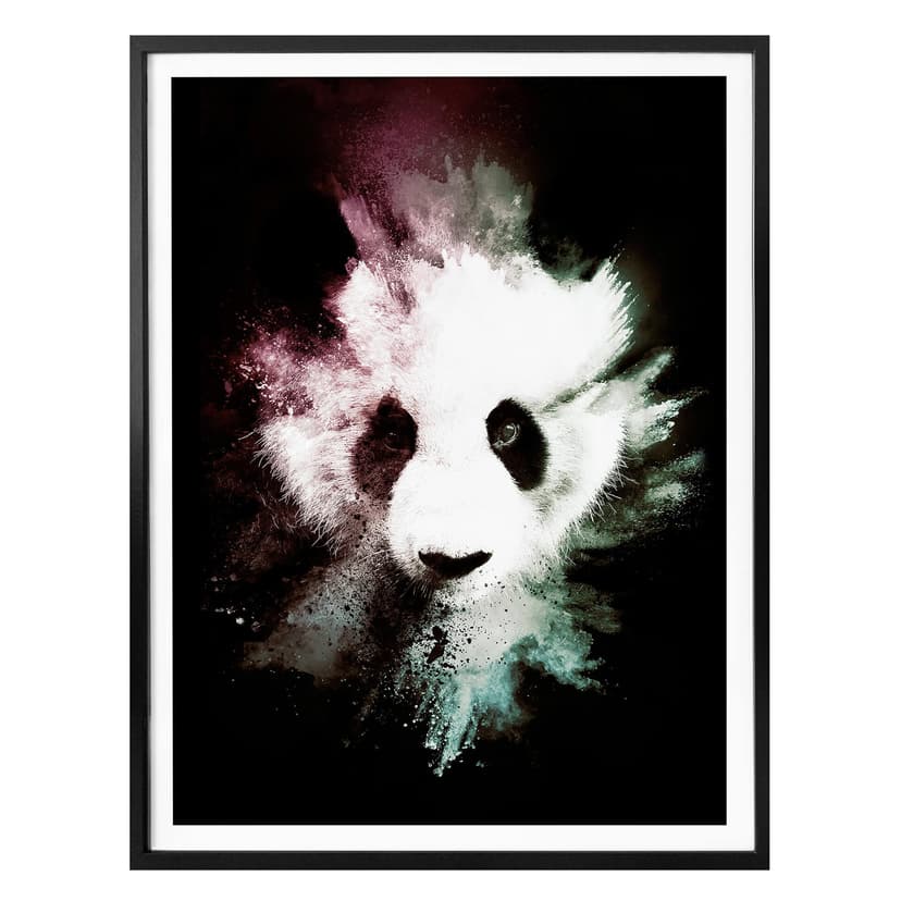 Plakat Hugonnard - Dzika eksplozja: Panda