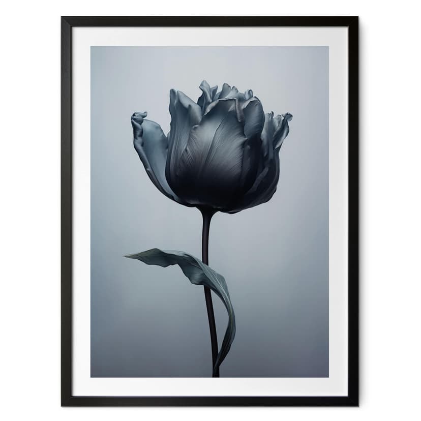 Aksamitny tulipanowy plakat w kolorze czarnym - Paksoylu