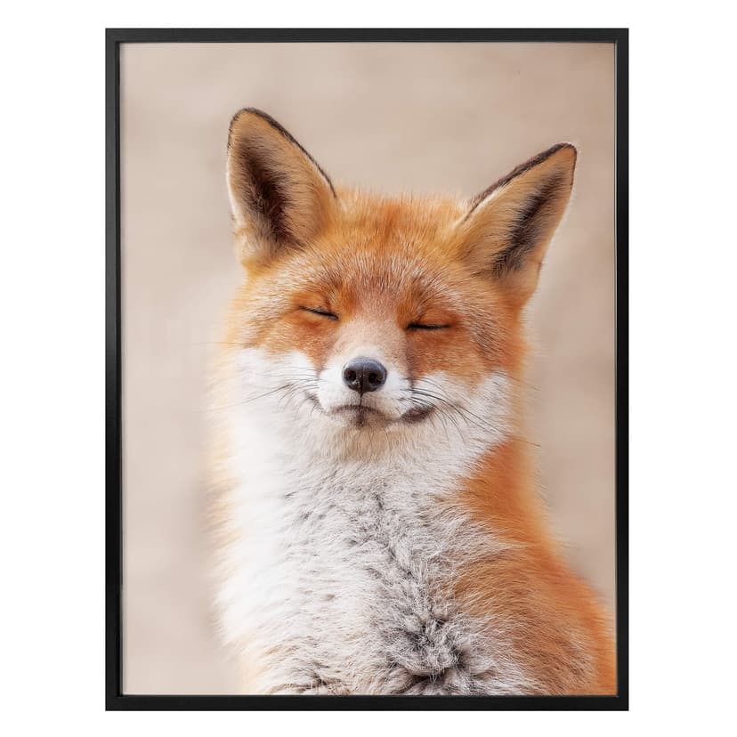 Plakat van Duijn - Zadowolony lis