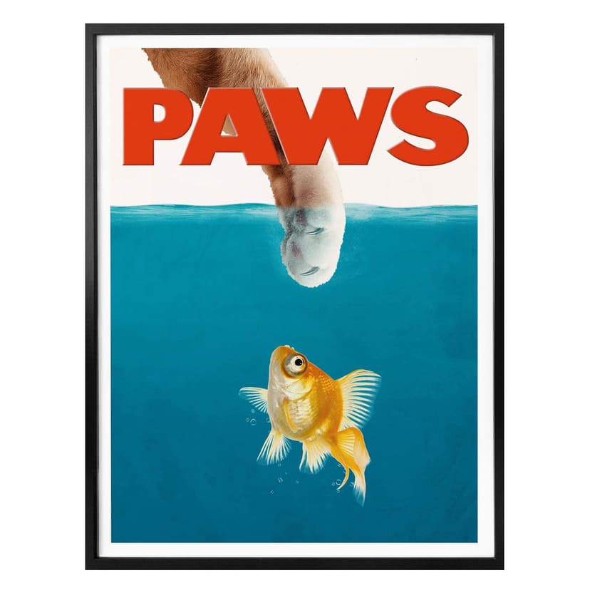Plakat Loose - Paws