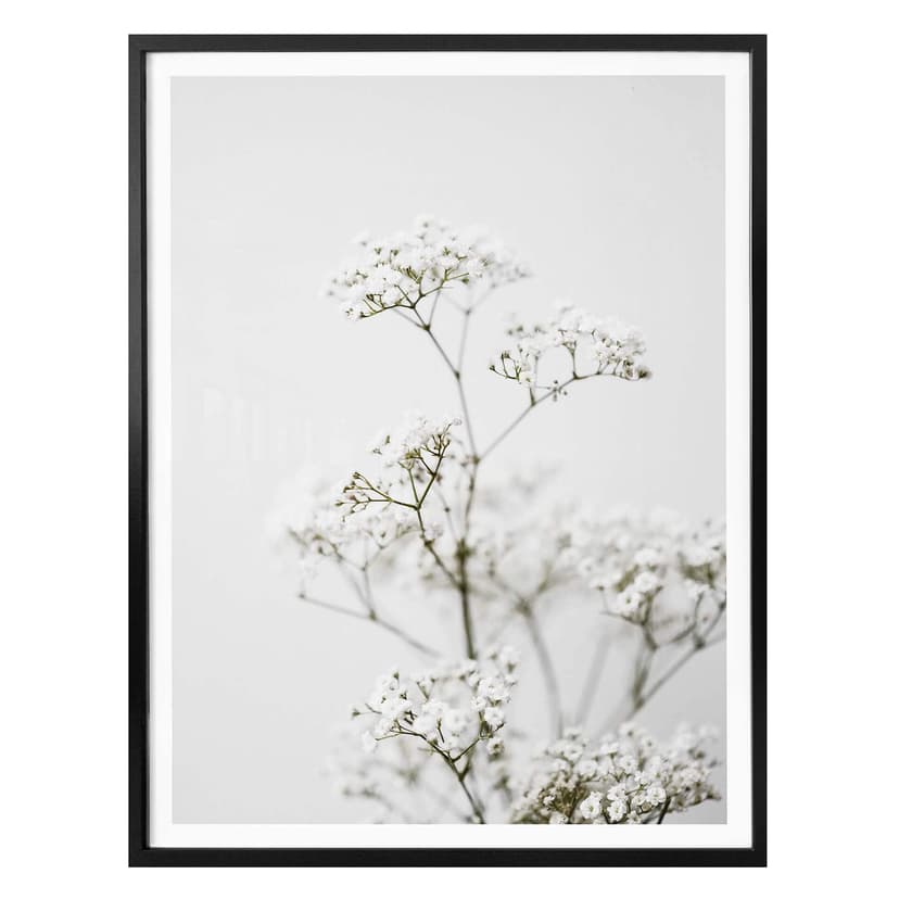 Plakat Annie - trybula łąkowa