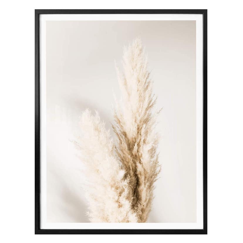 Plakat 1X Studio - Związana trawa pampasowa