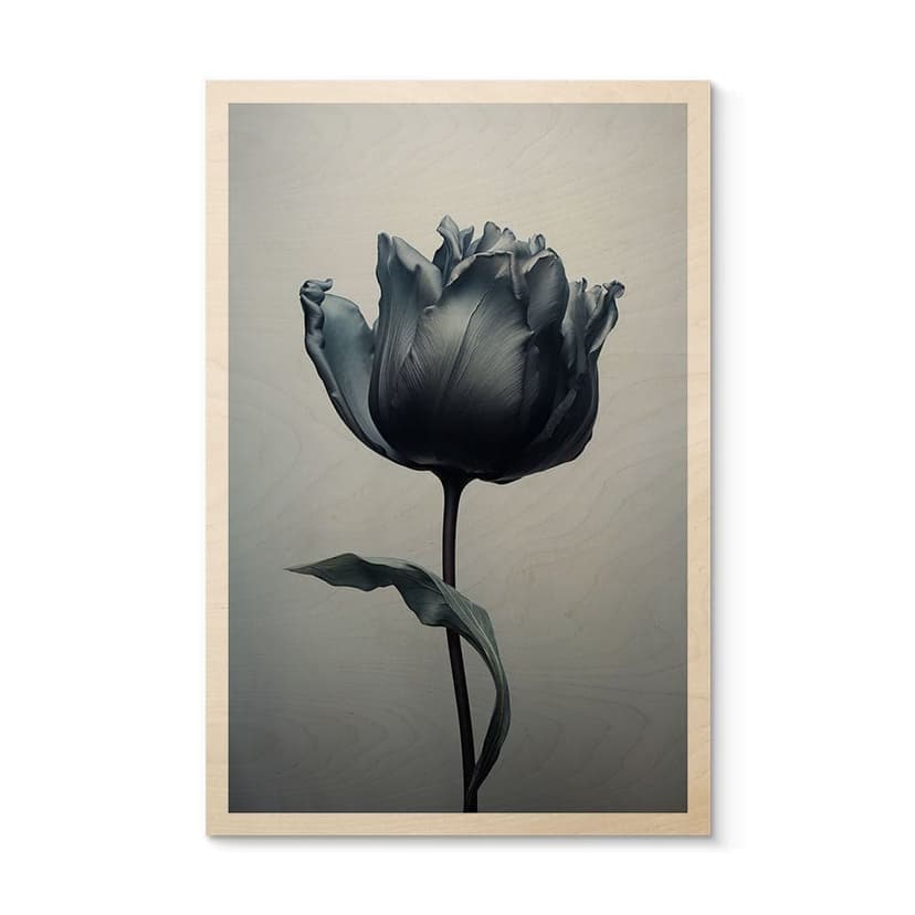 Plakat drewniany aksamitny tulipan w kolorze czarnym - Paksoylu