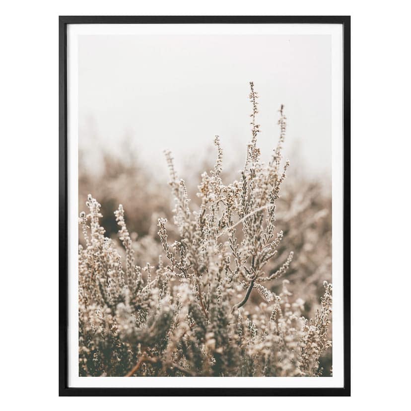 Plakat Annie - Trawy