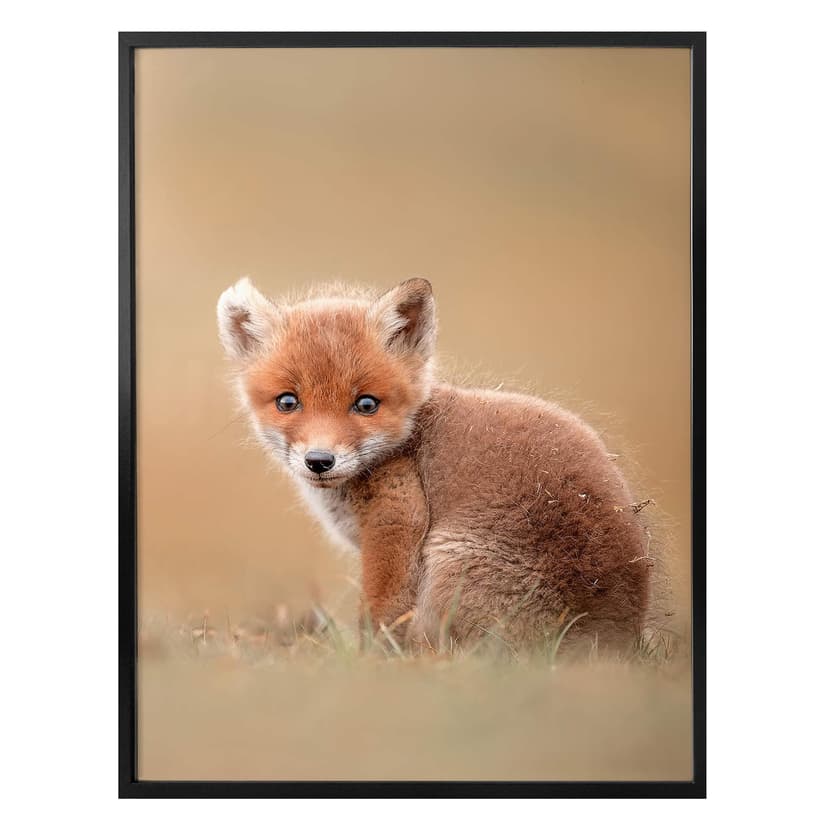 Plakat van Duijn - Baby fox