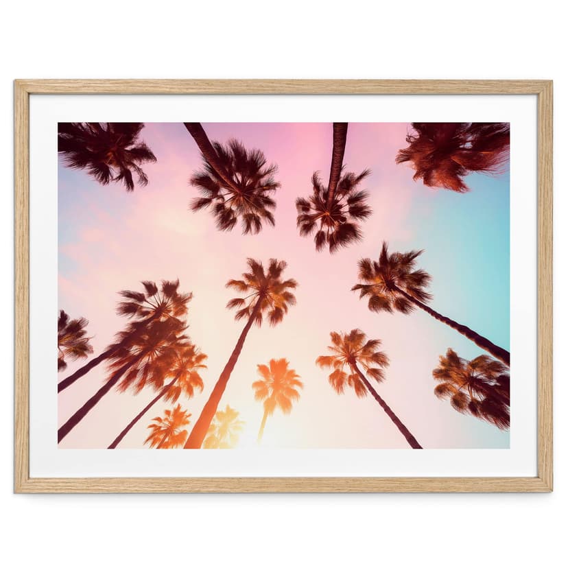 Plakat przyrodniczy California Dreaming z widokiem na palmę - Hugonnard