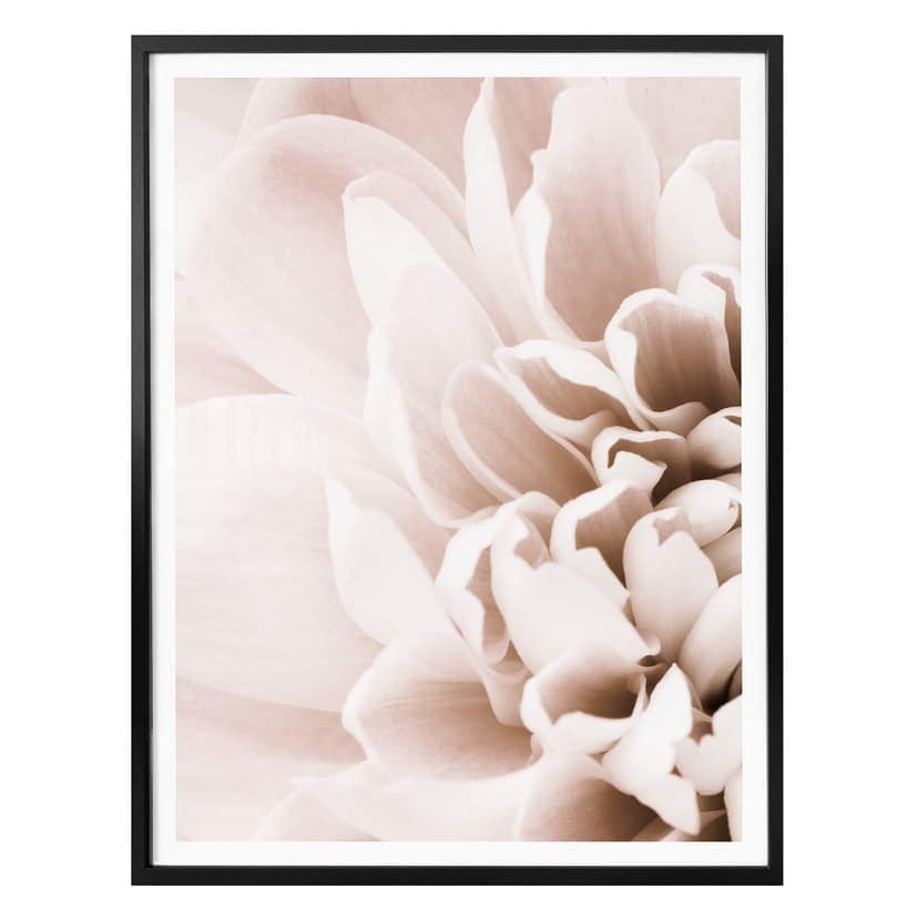 Plakat 1X Studio - Kwitnący splendor