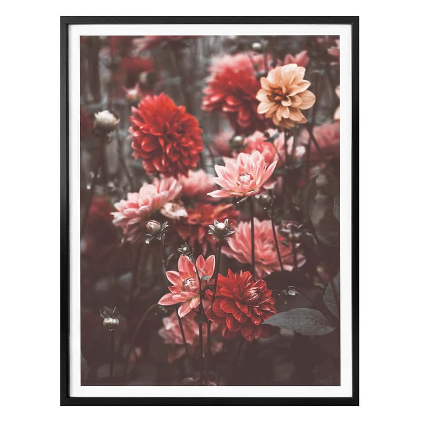 Plakat Annie - Letnie kwiaty
