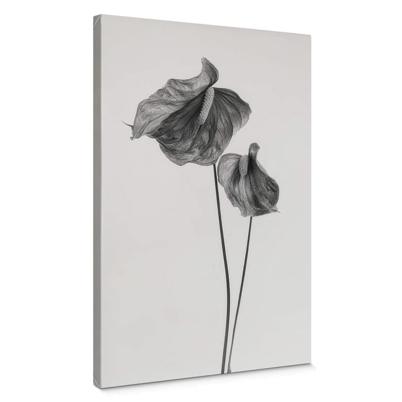 Obraz na płótnie Grønkjær - Anthurium czarno-białe