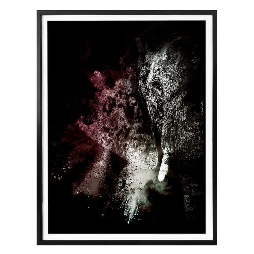 Plakat Hugonnard - Wild Explosion: Elephant 02