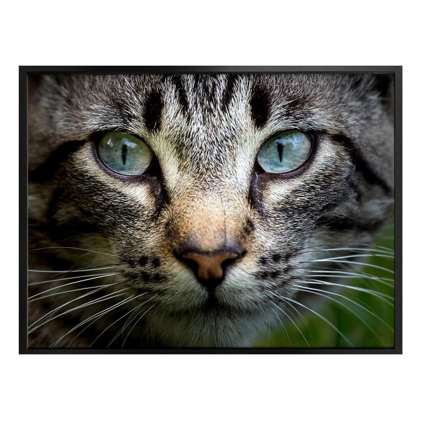 Plakat Cuadrado - W twoich oczach