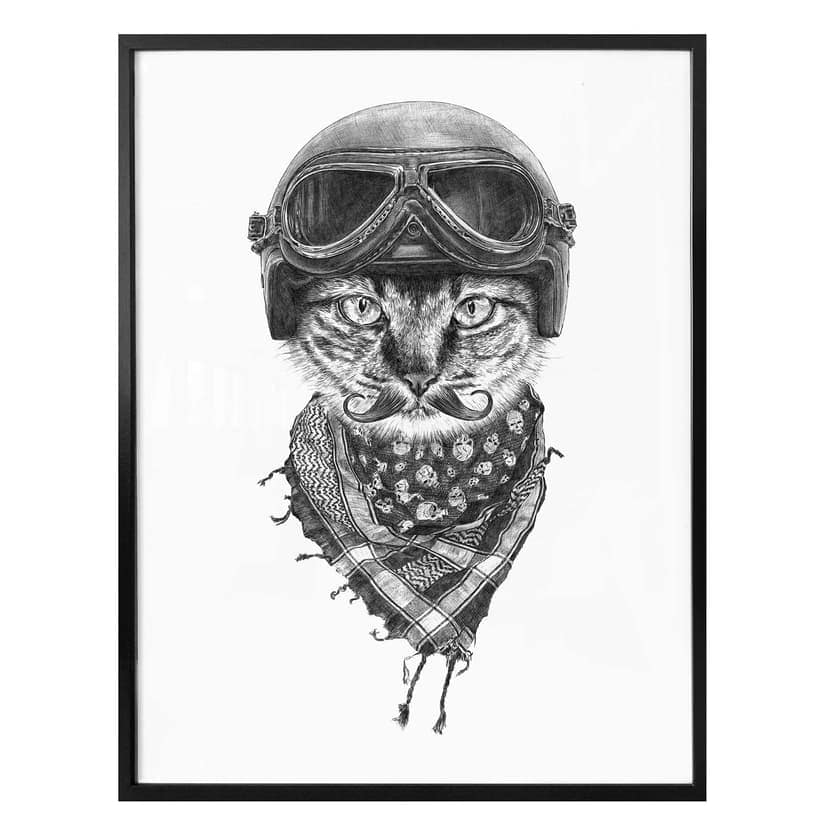 Plakat Kools - Biker Cat