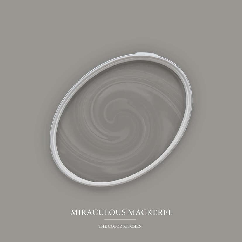 Szara farba do ścian i sufitów satynowy mat I Miraculous Mackerel | tworzenie eleganckiej, nowoczesnej atmosfery | THE COLOR KITCHEN