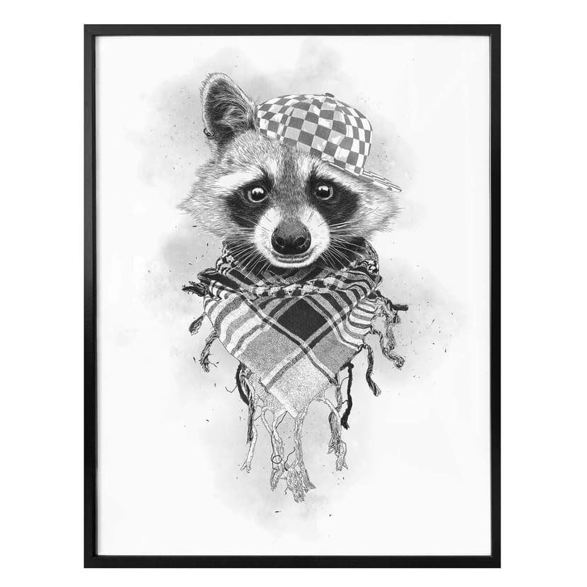 Plakat Kools - Rocco Raccoon