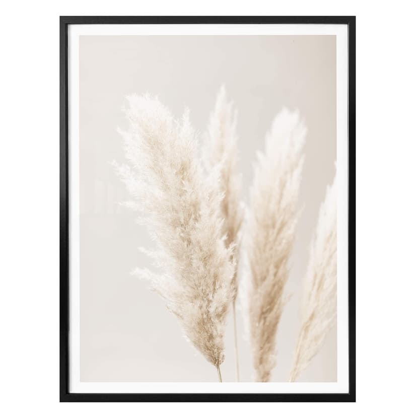 Plakat 1X Studio - Trawa pampasowa