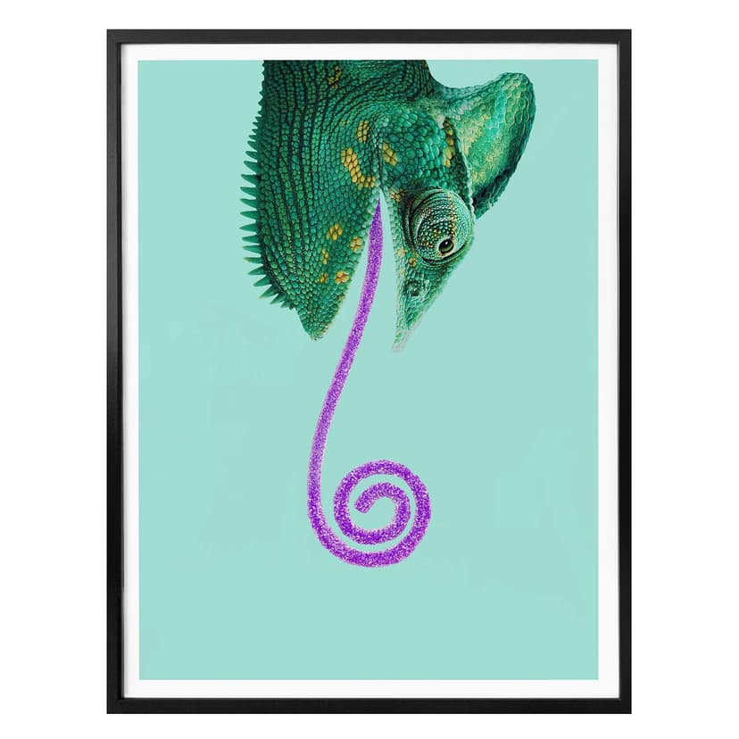 Plakat Loose - Cukierkowy kameleon