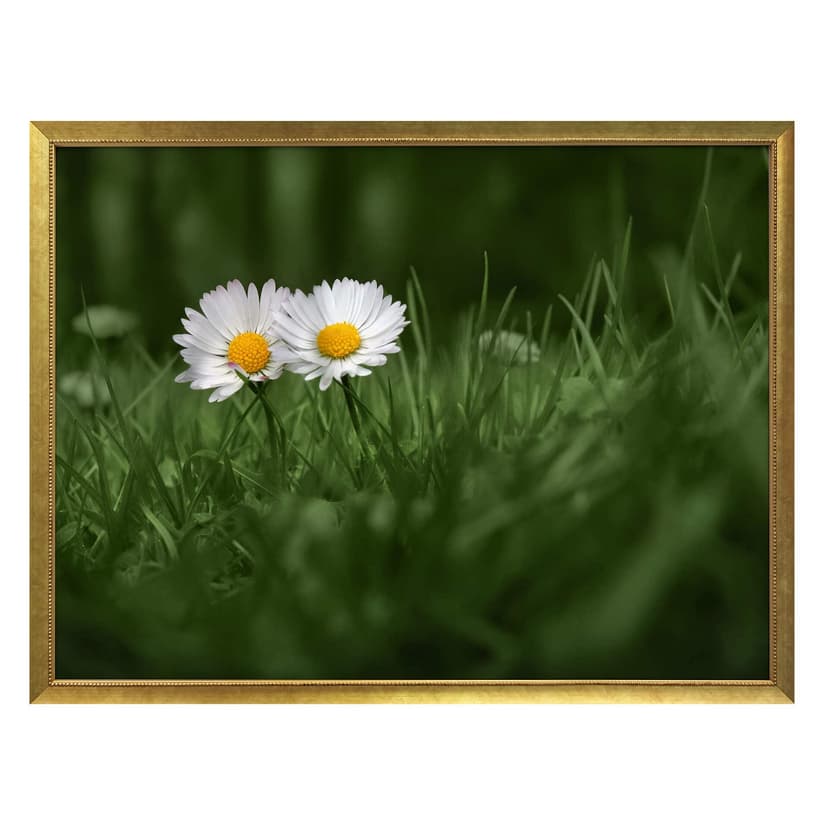 Plakat Ben Heine - Dwie stokrotki