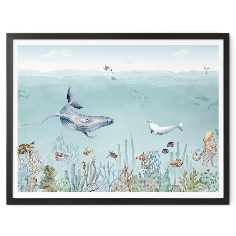 Plakat Kikki Belle - Życie morskie