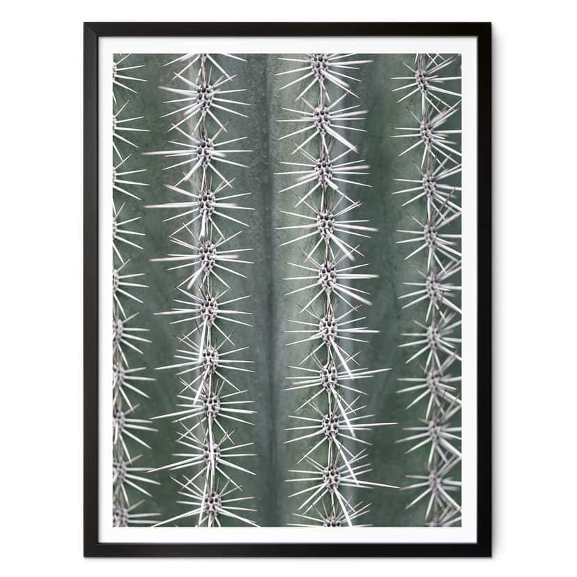 Plakat 1X Studio - Kaktus