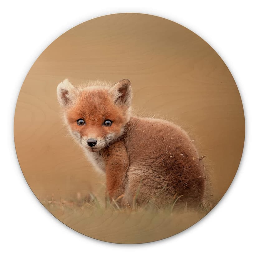 Obraz drewniany van Duijn - Baby fox - okrągły