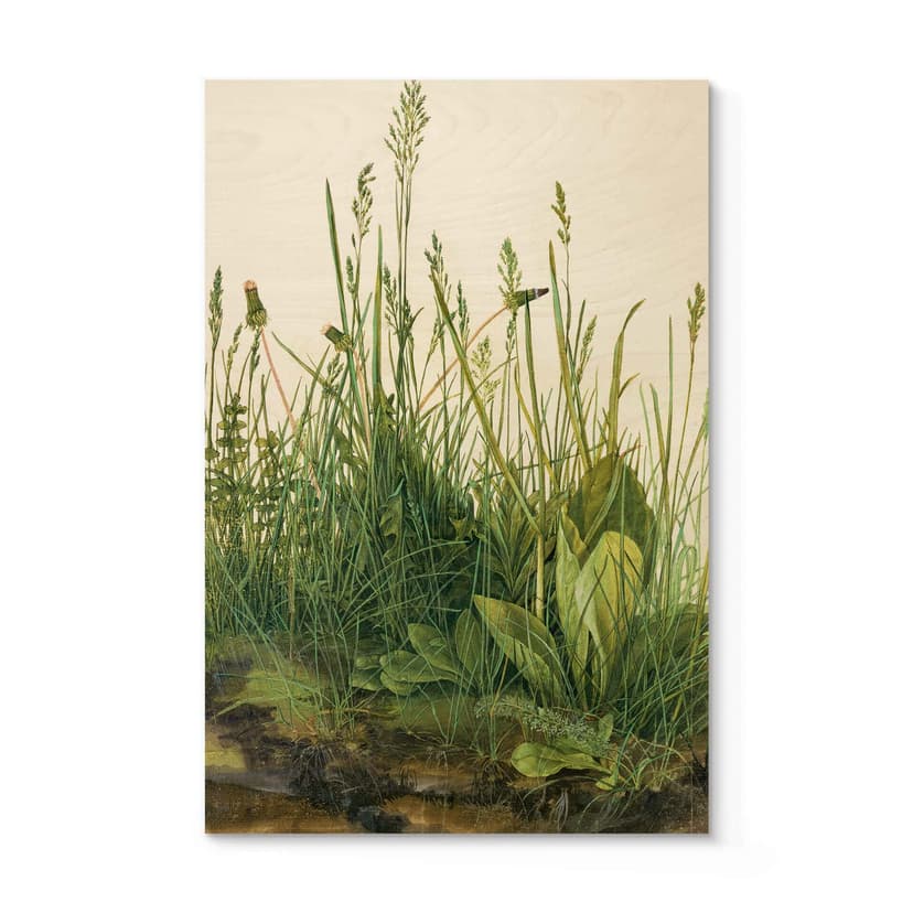 Plakat drewniany Dürer - Rozmiar trawy