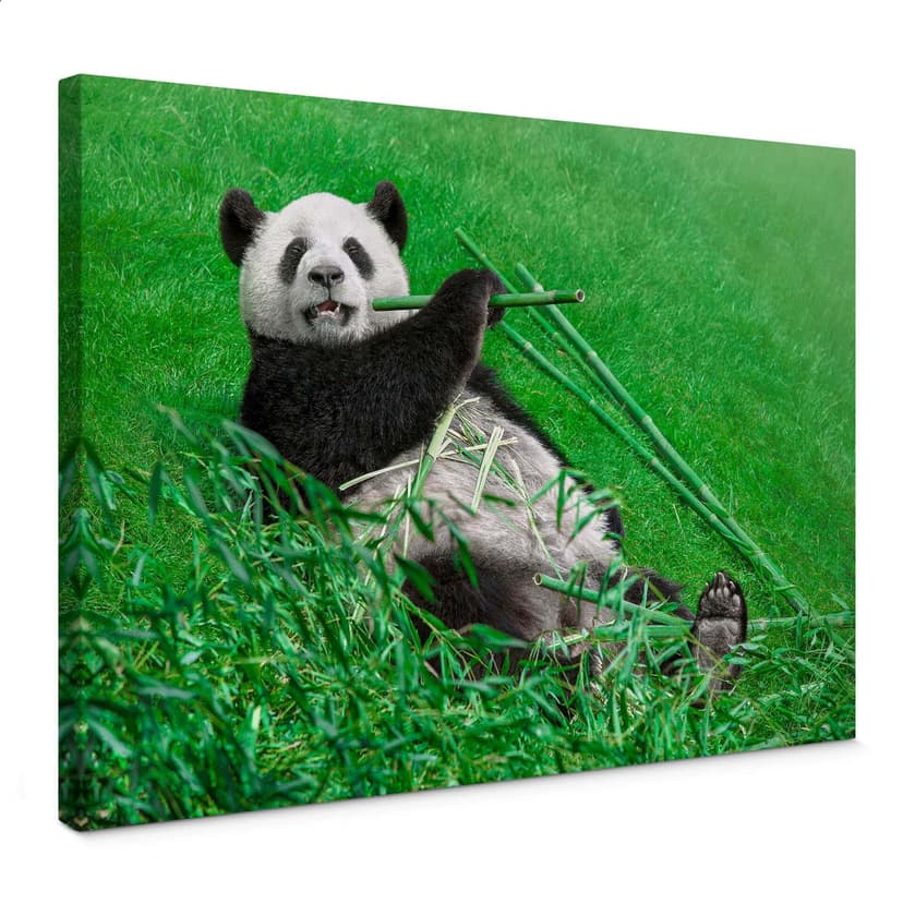 Obraz na płótnie Ben Heine - Happy Panda