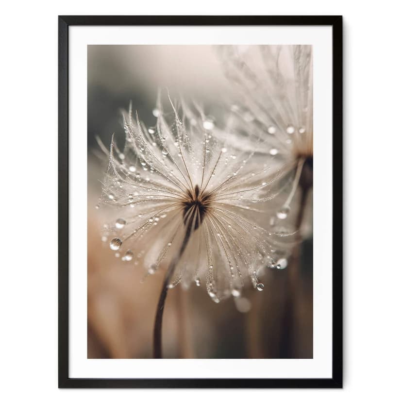 Plakat Mniszek lekarski w porannej rosie - Treechild