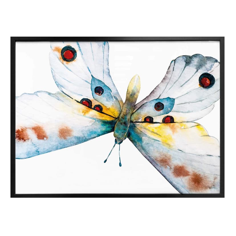 Plakat Kvilis - Butterfly 05