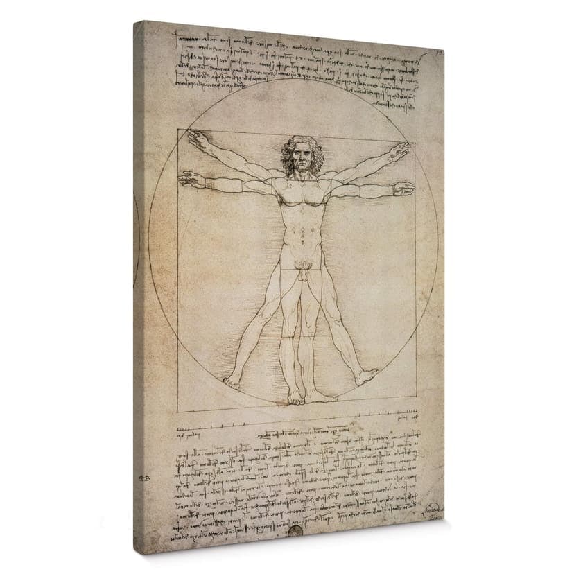 Obraz na płótnie da Vinci - Rysunek proporcji