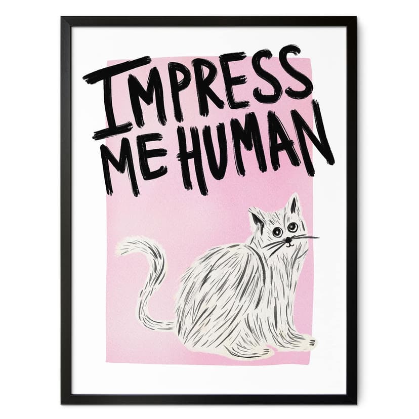 Kot z plakatu: Impress me Human - Bloom