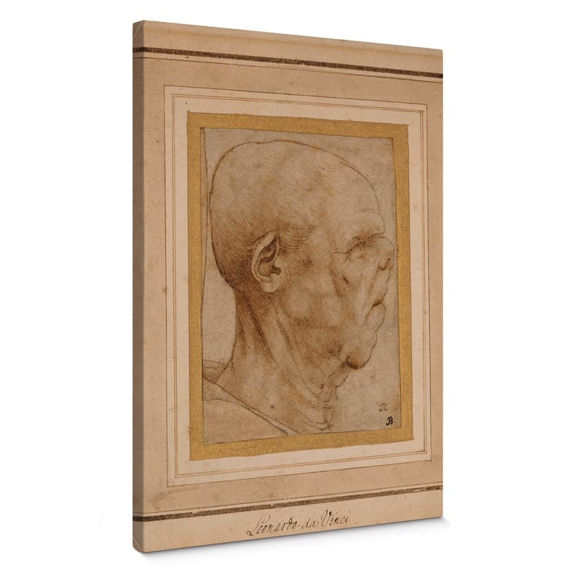 Obraz na płótnie da Vinci - Karykatura głowy mężczyzny z profilu
