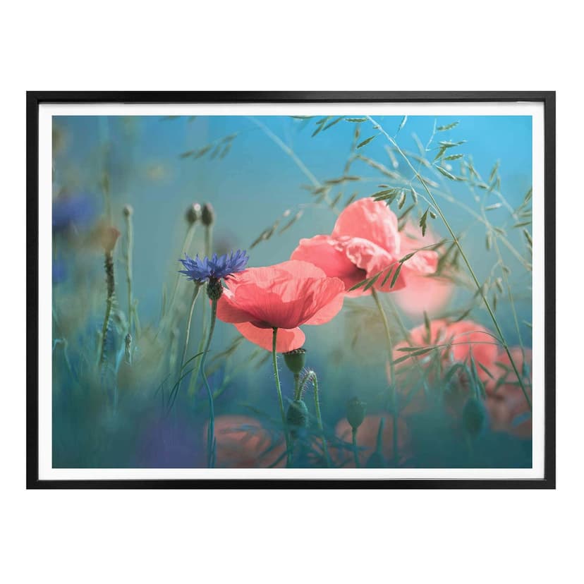 Plakat Delgado - Wildflowers Aquamarine