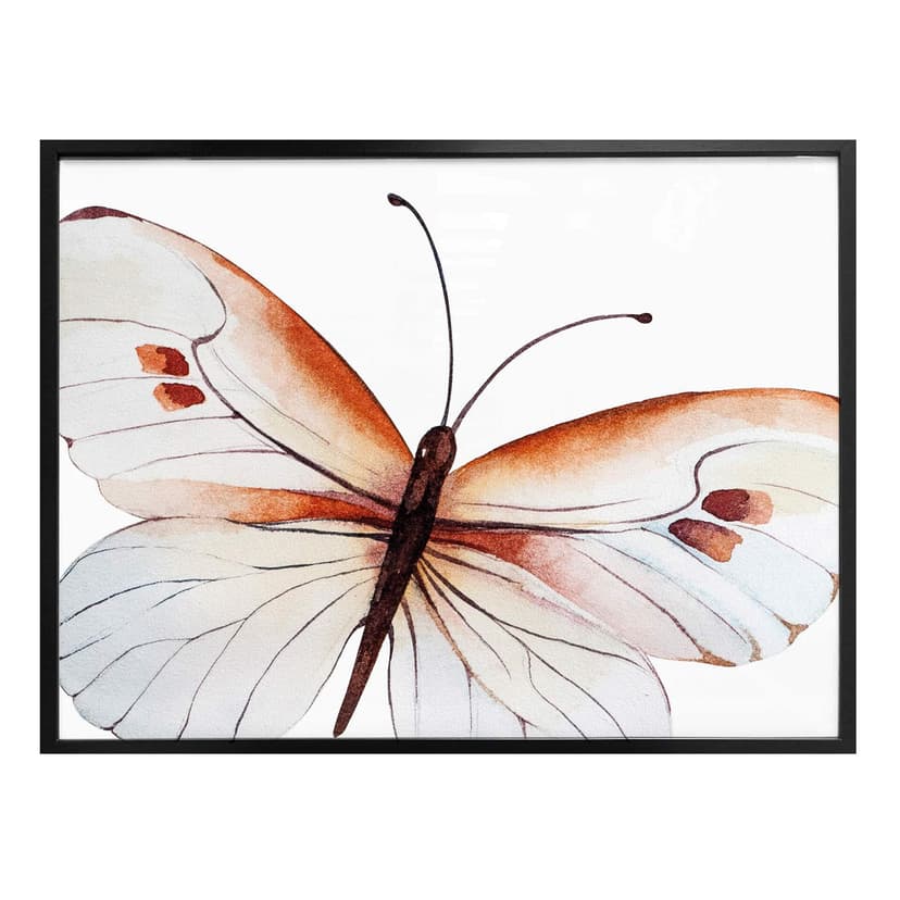 Plakat Kvilis - Butterfly 04