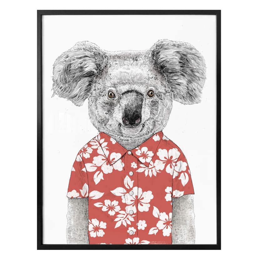 Plakat Solti - Koala w lecie