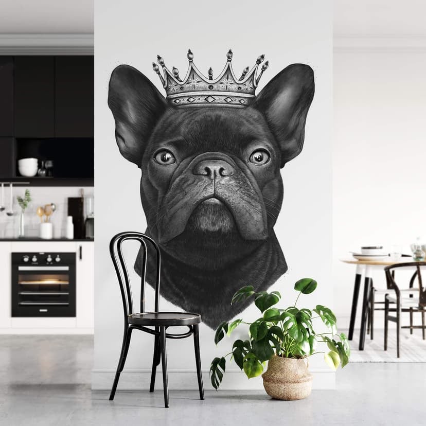 Fototapeta Korenkova - Król buldog francuski