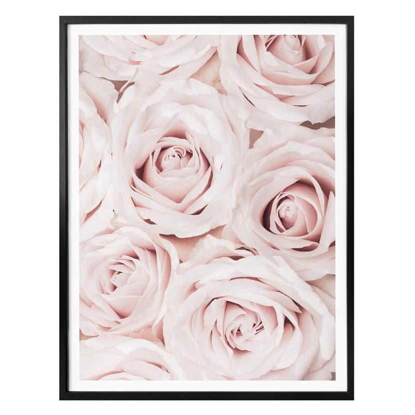 Plakat 1X Studio - Bukiet róż