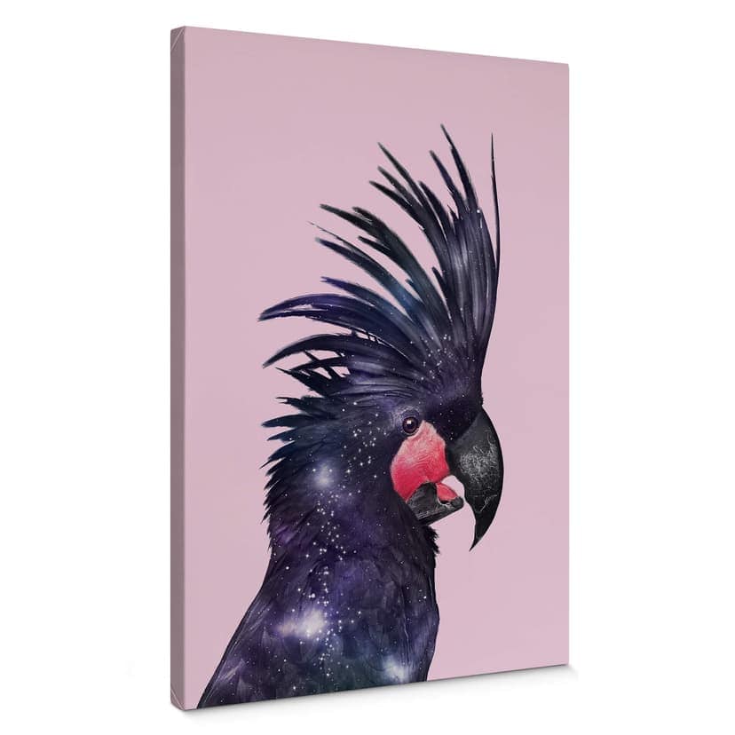 Obraz na płótnie Loose - Galaxy Bird