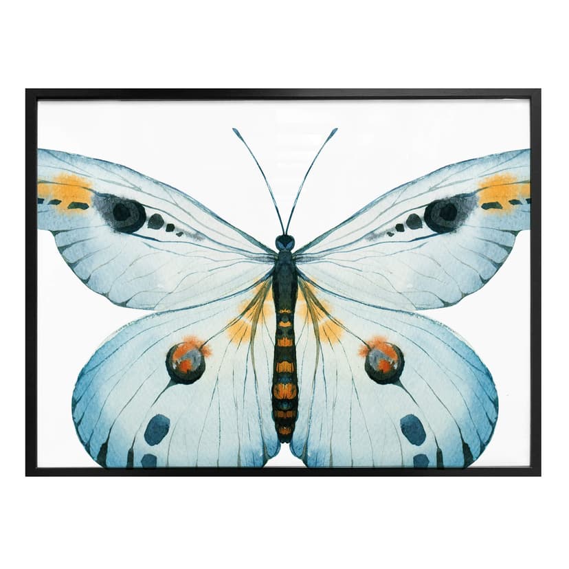 Plakat Kvilis - Butterfly 03